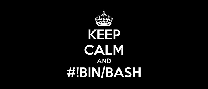 #!BIN/BASH